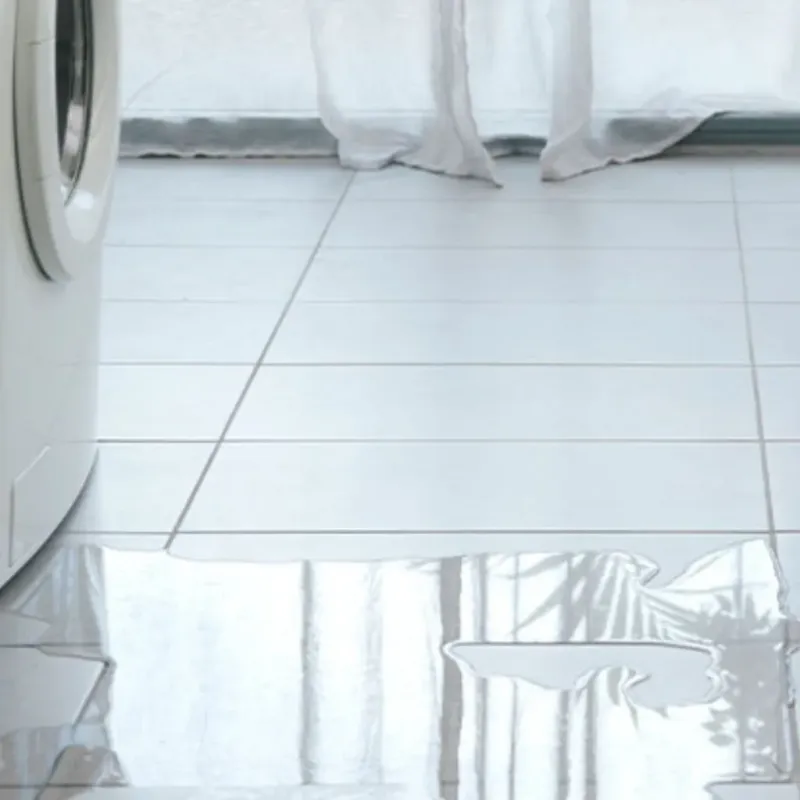 Appliance Leak Cleanup in Golconda, IL