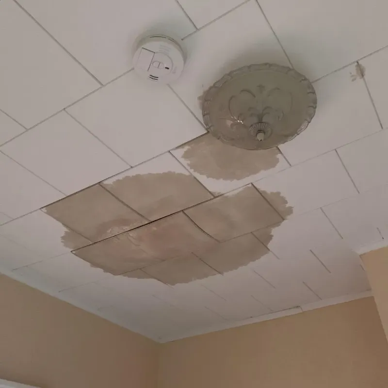 Ceiling Water Damage Repair in Golconda, IL