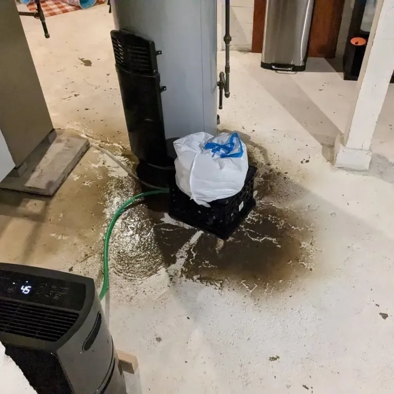Sewage Backup Cleanup Service in Golconda, IL